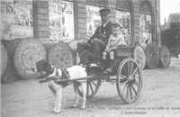  1900-1914 attelage de chien pour la poste de Sedan_new.jpg 